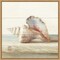 Driftwood Shell IV by Danhui Nai 16-in. W x 16-in. H. Canvas Wall Art Print Framed in Natural